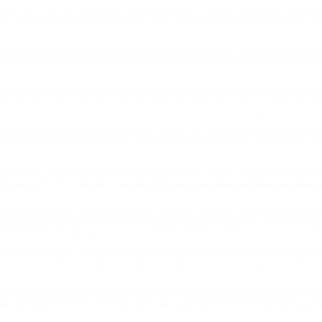 Logo Com'1 Graine Blanc
